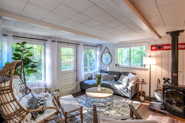 Televisor intel·ligent, llar de foc i llibres