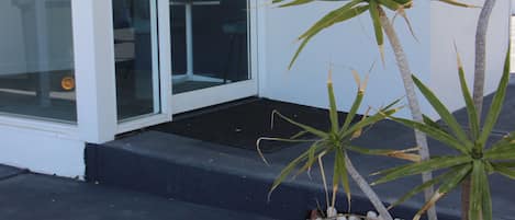 A reception area with a plant and white pebbles.