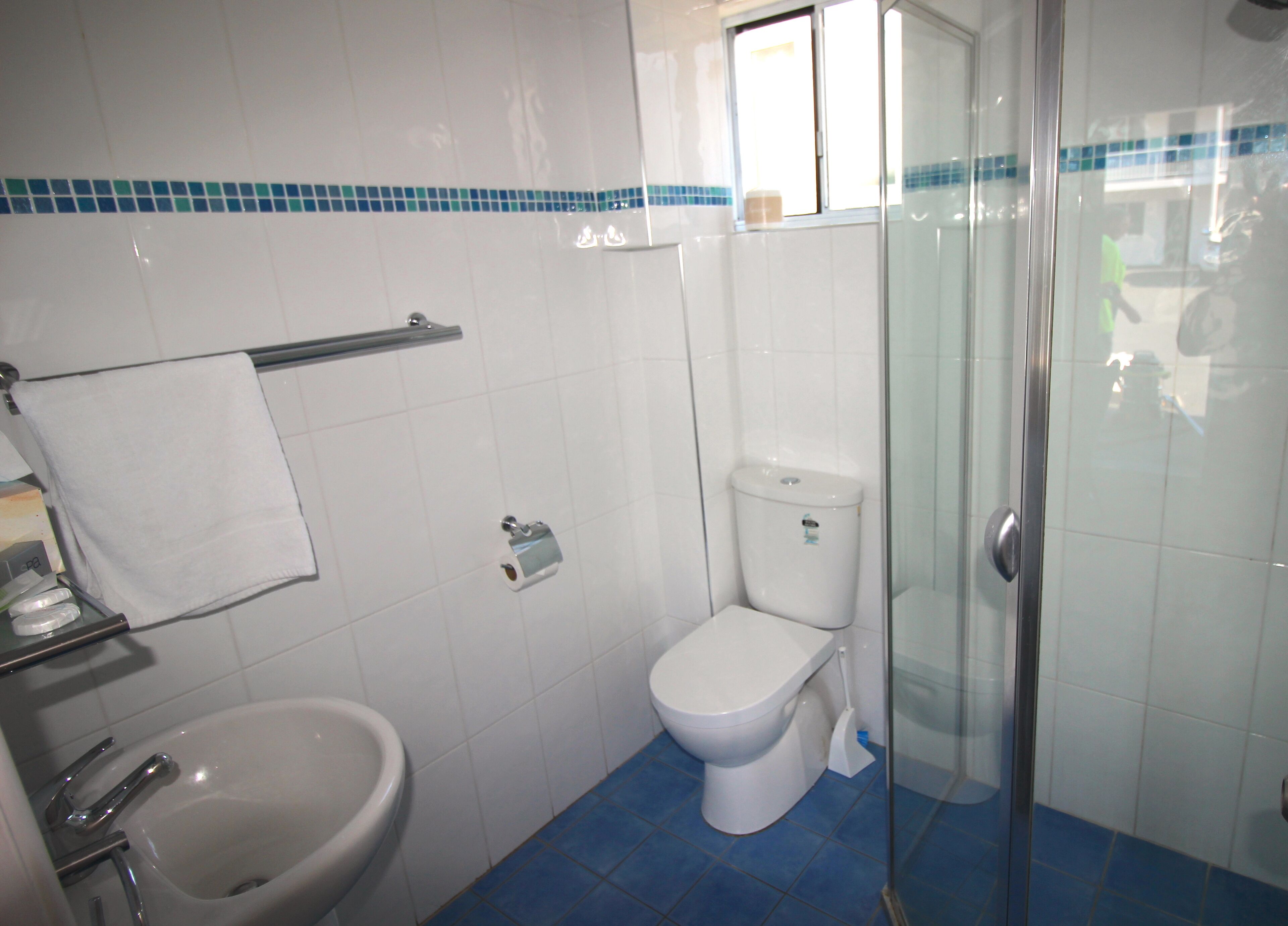A bathroom with a toilet, bidet, and glass shower enclosure.