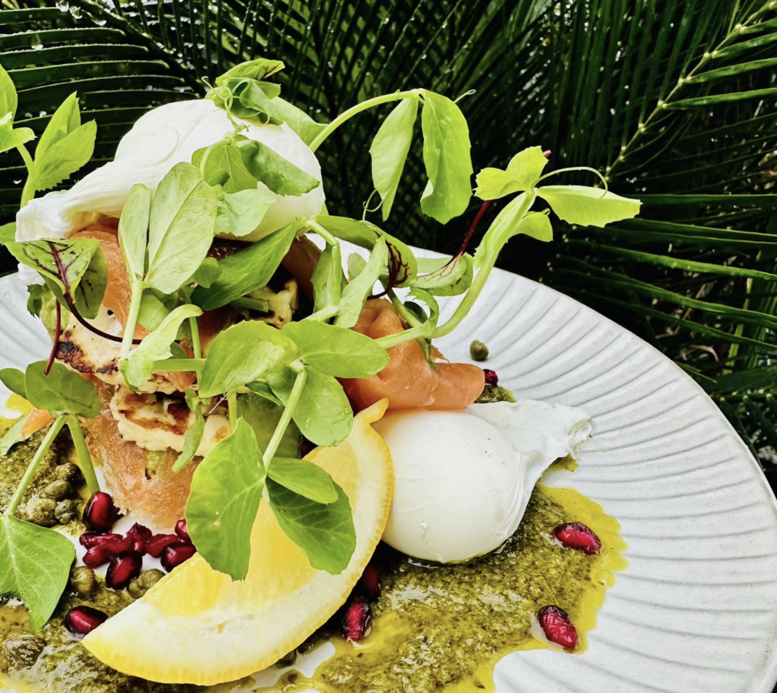 A plate of food with greens, a poached egg, and citrus slices.