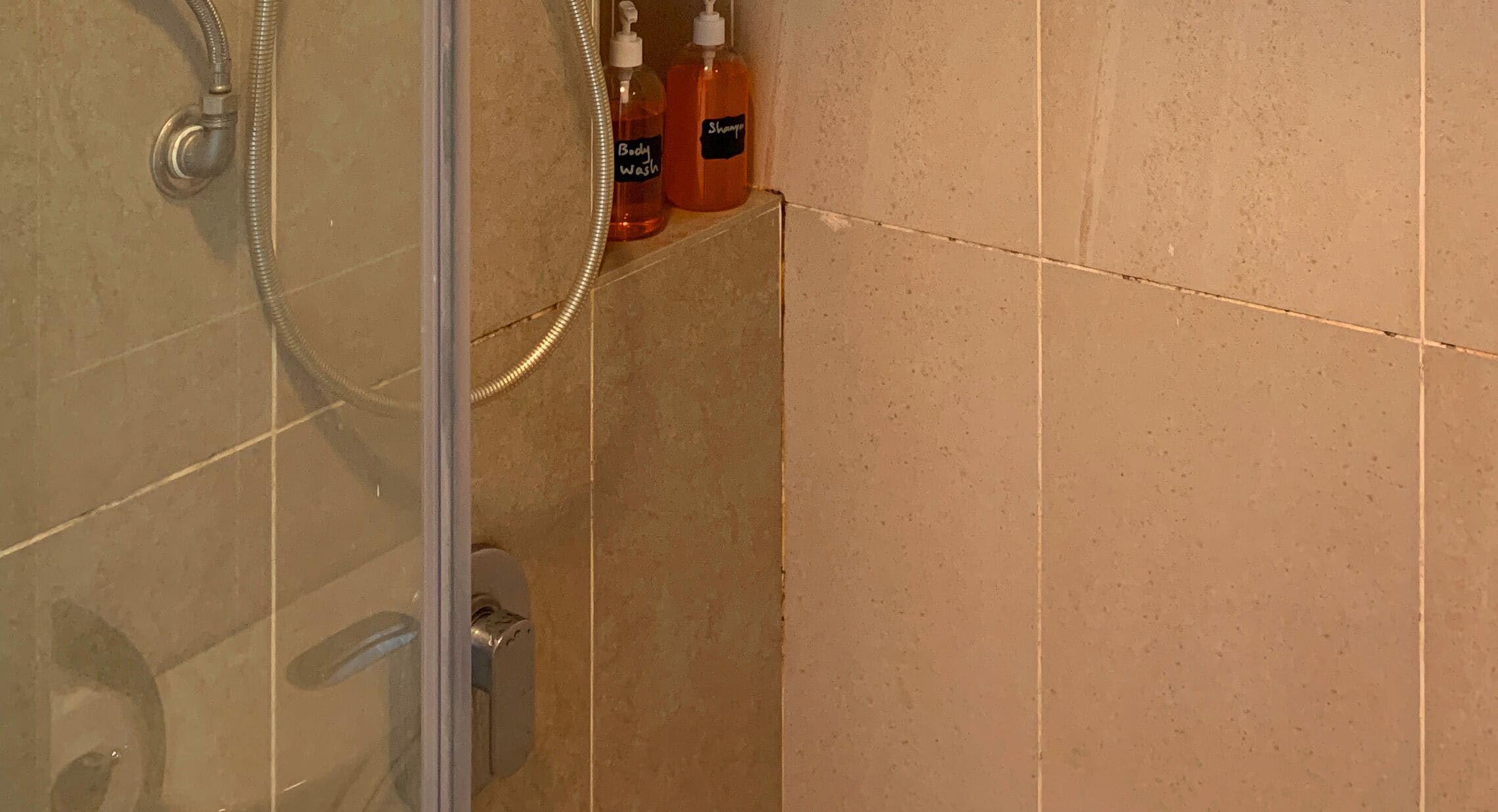 Zona de ducha con mampara de vidrio, cabezal de ducha de mano y dos botellas de champú y gel de baño en una repisa.