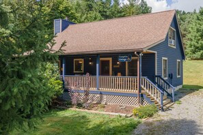 A blue cabin with a porch and steps, surrounded by trees.