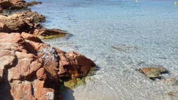 Ett kustlandskap med klart blått vatten, en klippig kustlinje och avlägsna kullar.