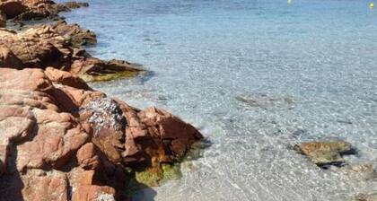 M1 BRILOC AJACCIO centre ville (30 mÂČ)