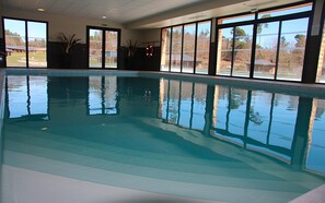 Une piscine intérieure aux eaux cristallines, dotée de grandes fenêtres et agrémentée de plantes en pot.