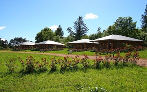 Eksteriør