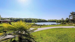 Un parco con un lago, sentieri e una palma.