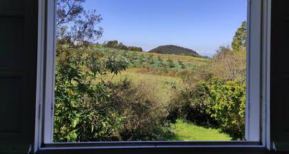 Villa des O - Near volcano