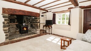 A cozy room with a stone fireplace, wooden beams, a television, and a window with curtains. - 1 Old Thatch (Bridgwater)
