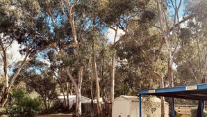 A rustic outdoor area with a gravel path, a wooden fence, and a small shed. - Cute Cosy Cottages – Your Perfect Pet-Friendly Getaway in the Adelaide Hills (Kanmantoo)