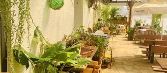 Cute Cosy Cottages – Your Perfect Pet-Friendly Getaway in the Adelaide Hills