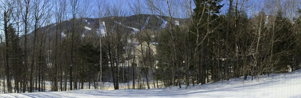 Sports d’hiver