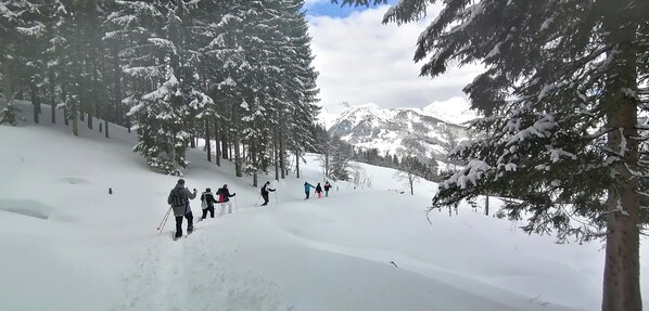 Pendiente nevada de montaña con esquiadores y cielo despejado.