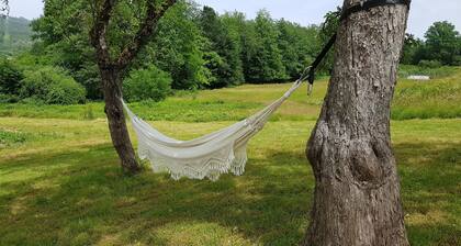 Soulful wellness in the middle of nature - near the Chapelle by Le Corbusier