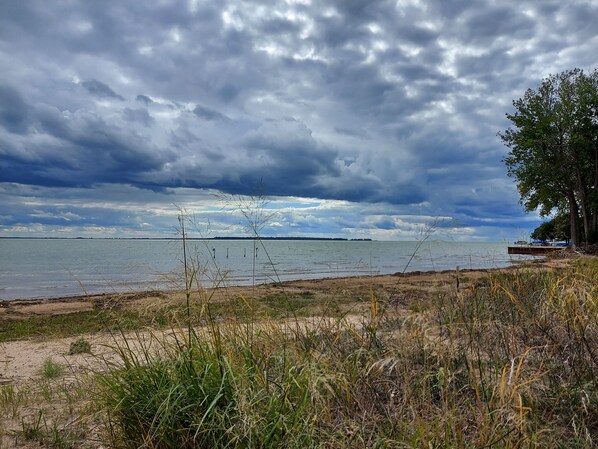 Une plage avec un rivage sablonneux, des zones herbeuses et un ciel nuageux.