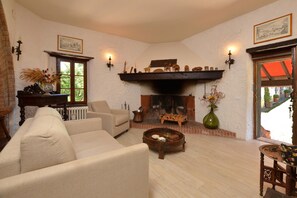 Tv, eldstad och dvd-spelare