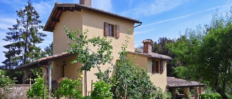 A two-story house with a tiled roof, surrounded by a well-maintained garden with various plants and a lawn.