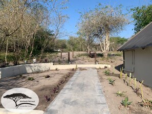 Property grounds - Secluded Bush Chalet | Pool | AC | Nature (Sodwana Bay)