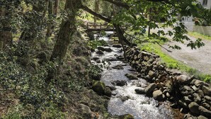 A stream flowing through a wooded area with a wooden bridge in the background. - Bodhyfryd (Penmaenmawr)