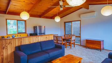 TV connectée, cheminée, jeux vidéo, lecteur de DVD