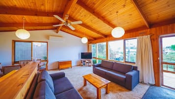 TV connectée, cheminée, jeux vidéo, lecteur de DVD