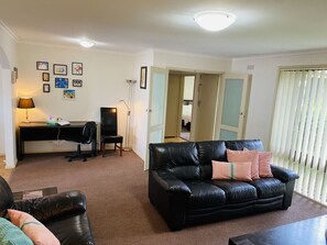 TV, video games, DVD player, books