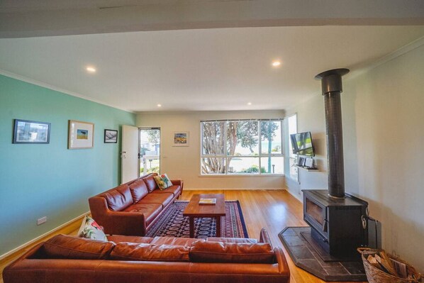 TV connectée, cheminée, lecteur de DVD, livres