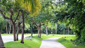 Uma trilha pavimentada em um parque, com árvores e grama de ambos os lados.