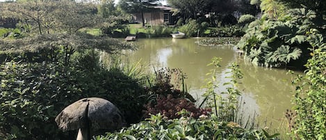 Property grounds