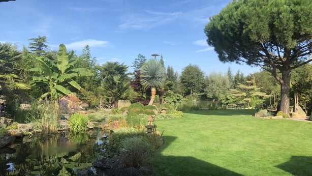 Un giardino curato con uno stagno, diverse piante e un prato erboso.