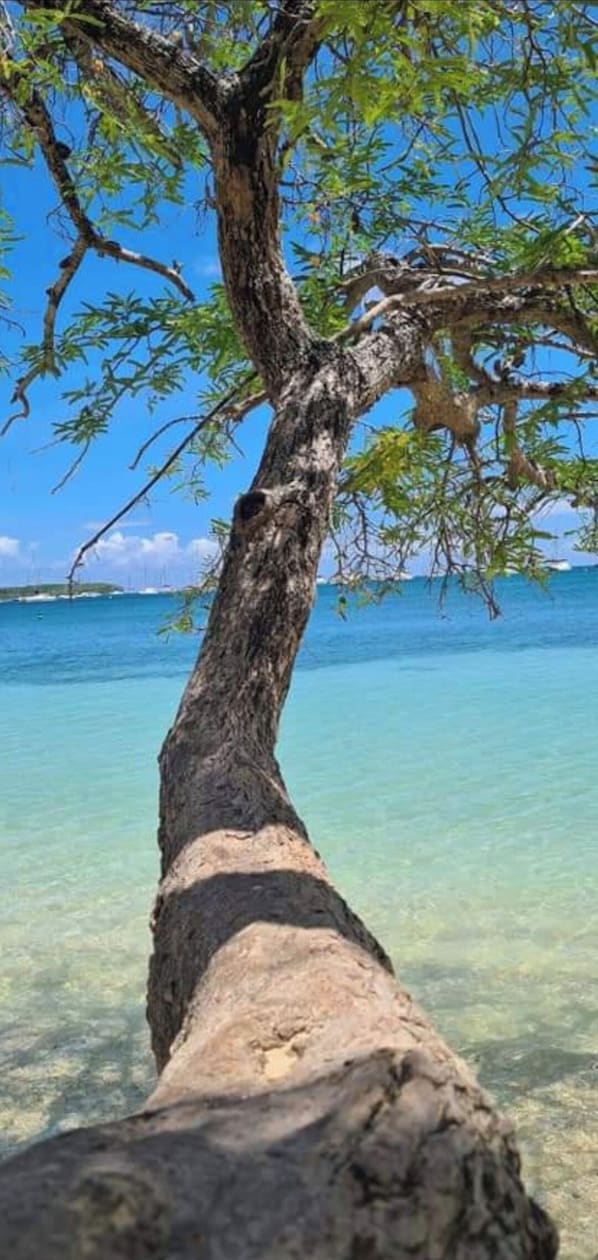 Plage