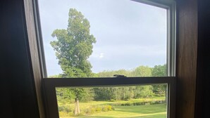 A window with a view of a grassy area and trees.