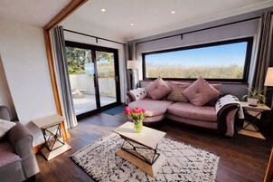 Televisión 30 pulgadas con canales de televisión por cable, chimenea