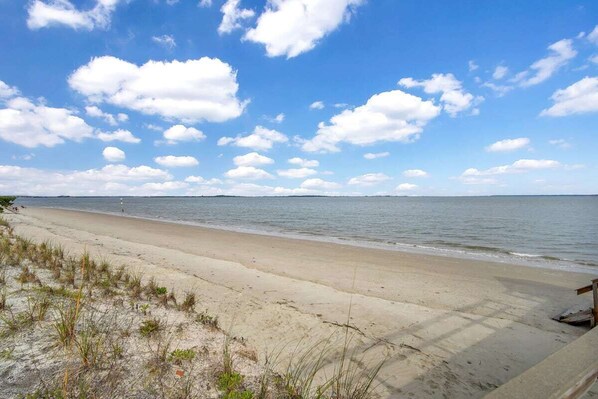 A beach with a sandy shore and a wooden bench.