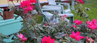 Sunkissed Cottage