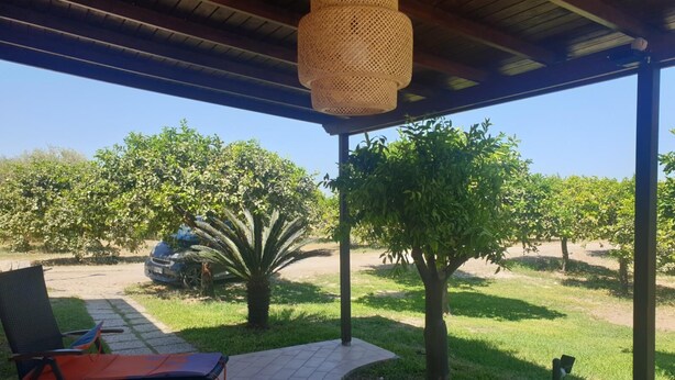 Un patio couvert doté d’un luminaire au plafond fait de fibres tressées, un coin salon avec une chaise et une table, et une vue sur un vignoble en arrière-plan.