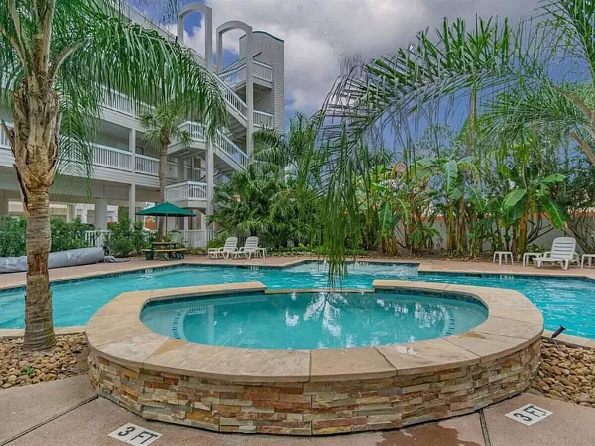 Un espace piscine bordé de pierres, avec des chaises longues et un palmier.
