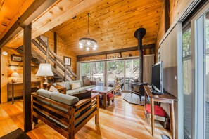 TV, DVD player, video library