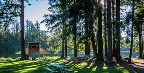 A picnic area with benches and a shelter in a forested setting.