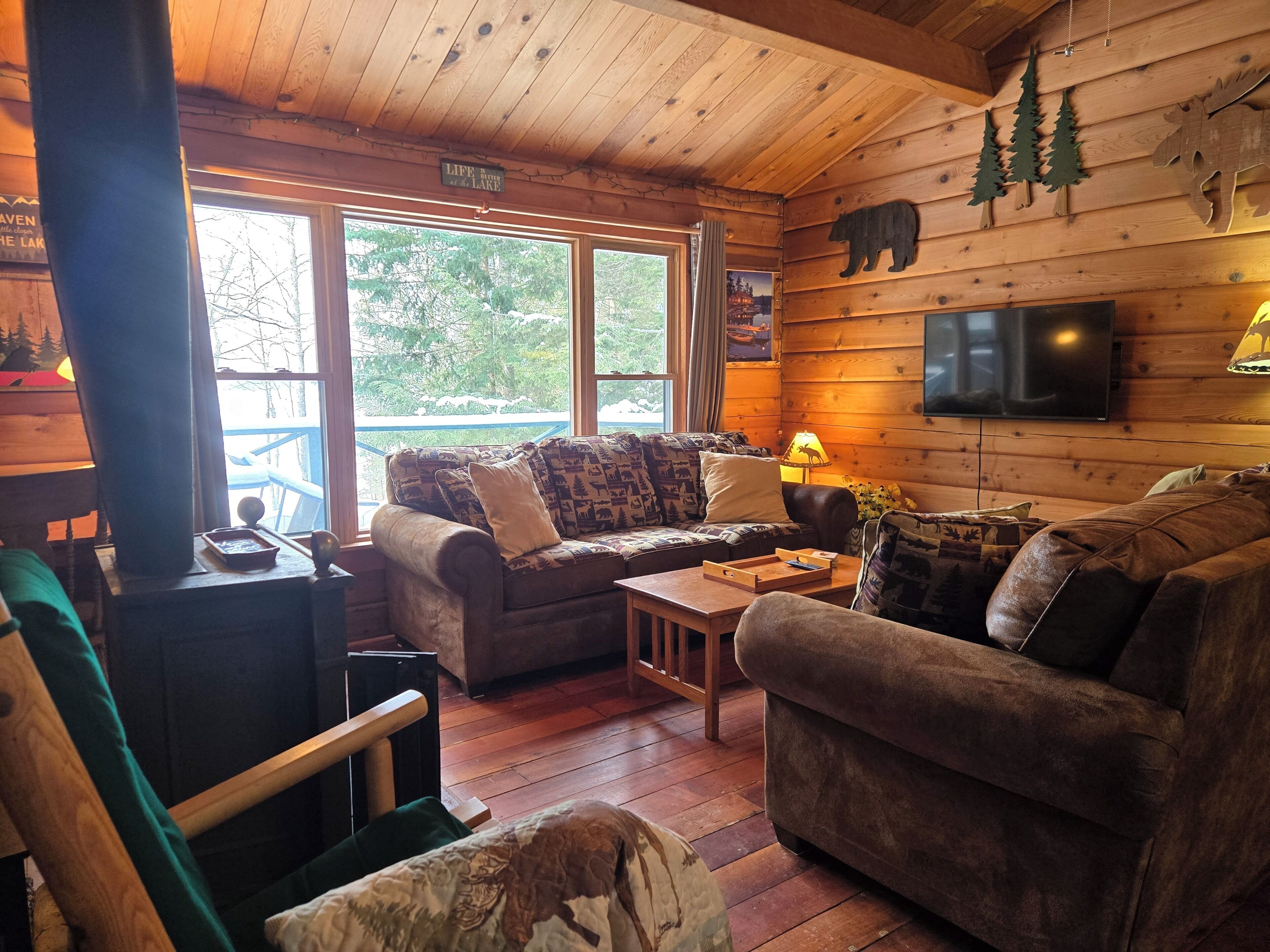 TV connectée, cheminée, lecteur de DVD, livres