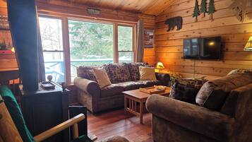 TV connectée, cheminée, lecteur de DVD, livres