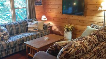 Smart-tv, een open haard, een dvd-speler en boeken