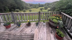 Terraza de madera con plantas en macetas y vistas a un paisaje verde.