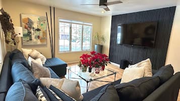 Smart-TV, peis og PC-skjermer