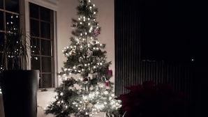 A Christmas tree with lights and ornaments in a room with a glass table and a large potted plant.