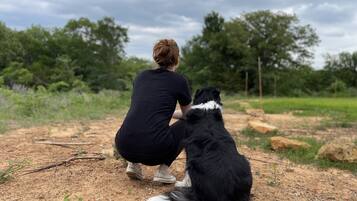 Huisdieren toegelaten