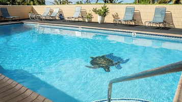 Una piscina con sillas de descanso y una tortuga nadando.