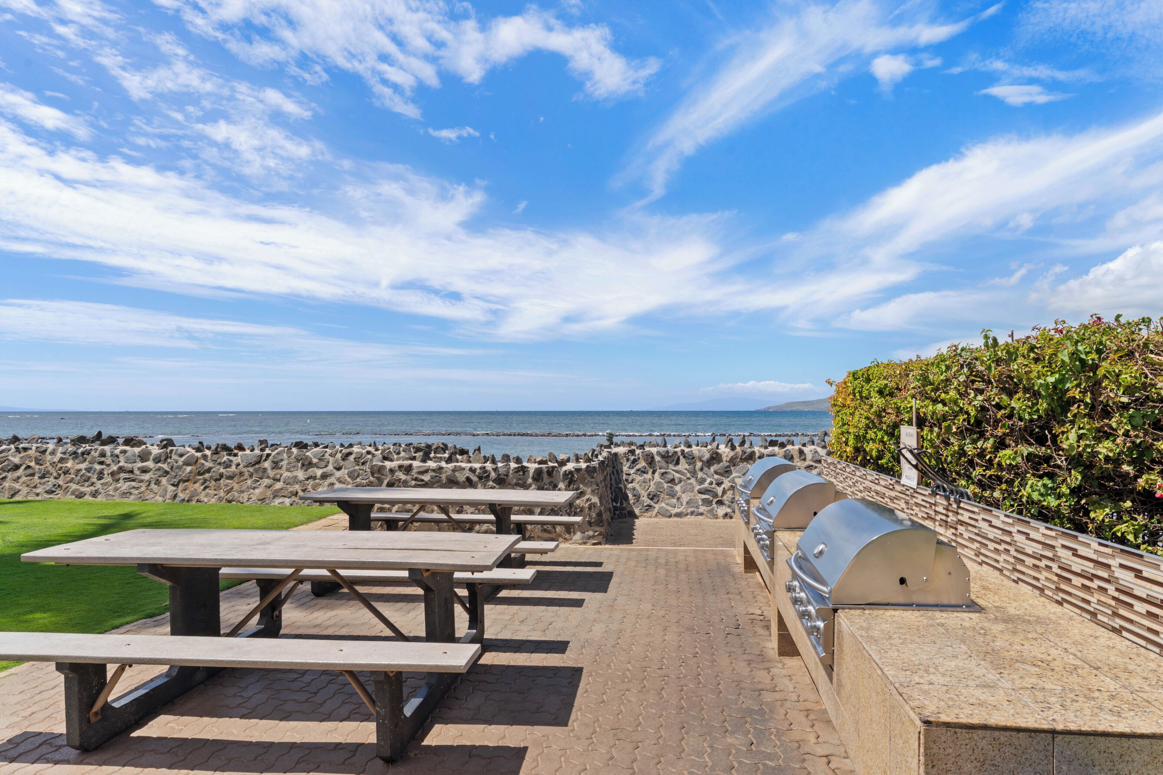 A seaside picnic area with benches and grills, overlooking the ocean.