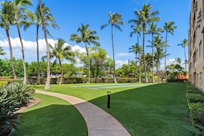 A well-maintained lawn with a curved pathway, palm trees, and a building with a flat facade.