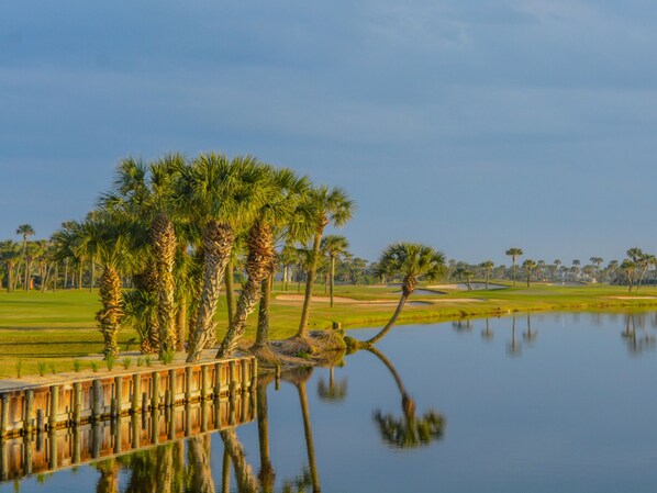 A tranquil lakeside scene with a wooden dock, palm trees, and a golf course in the background.